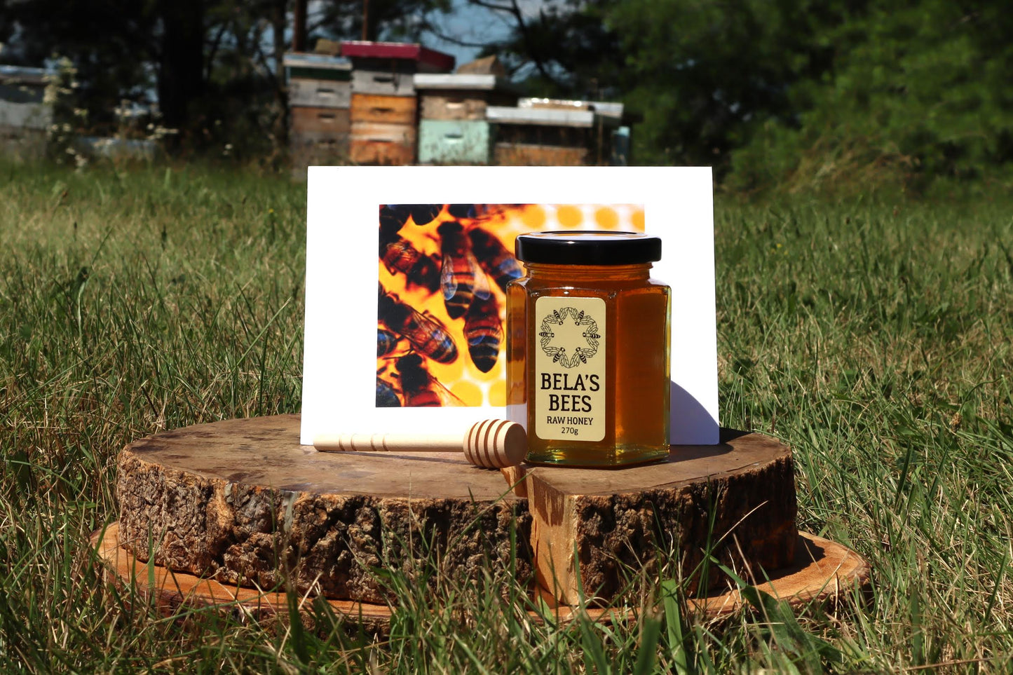Bela's Bees Raw Honey