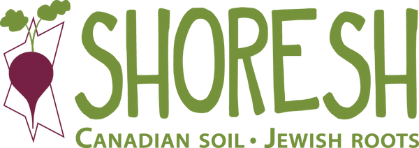 Shoresh