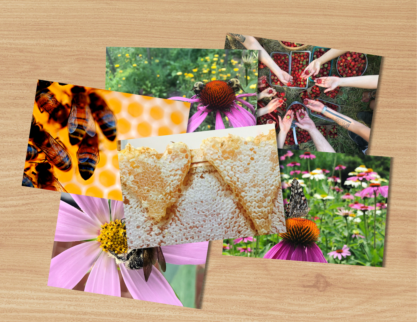 Greeting Cards - 12 Pack