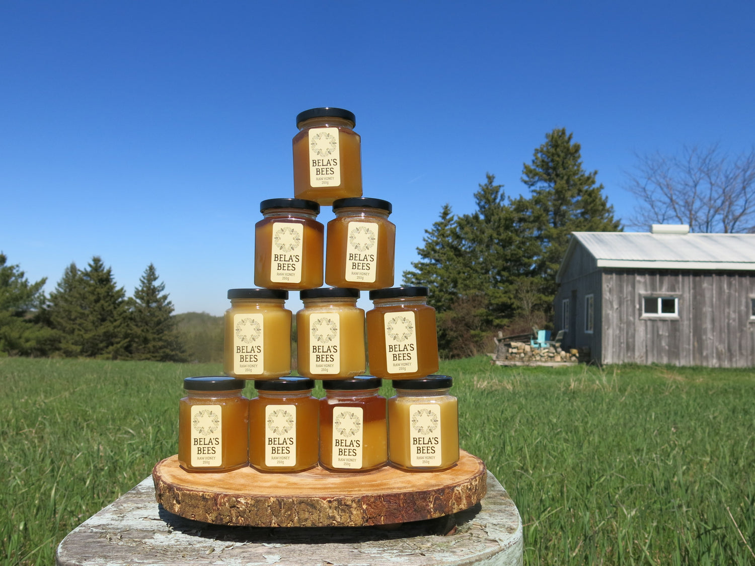 Bela's Bees Raw Honey