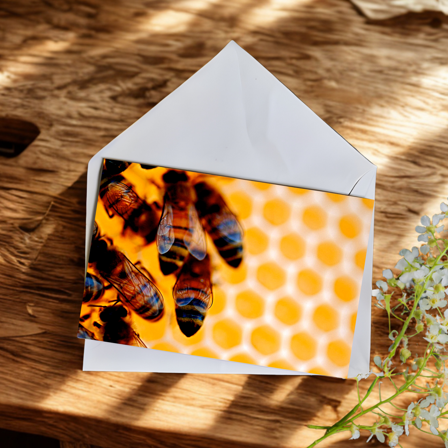 Greeting Cards