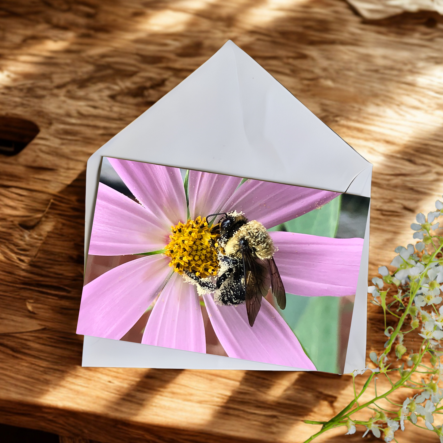 Greeting Cards
