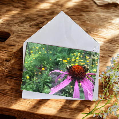 Greeting Cards