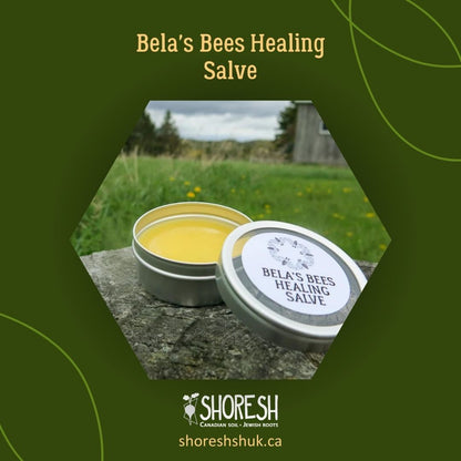 Bela's Bees Healing Salve (40g)