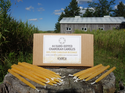 Beeswax Chanukah Candles