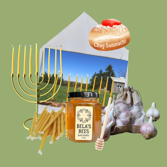 🕎 Chanukah Gift Bundle