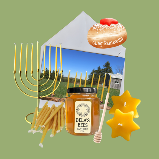🕎 Chanukah Gift Bundle