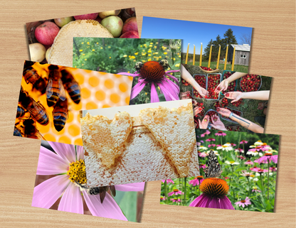 Greeting Cards