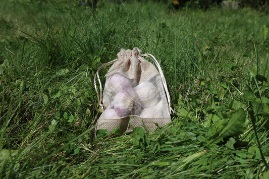 Bela's Bundles of Garlic