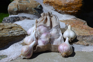 Bela's Bundles of Garlic