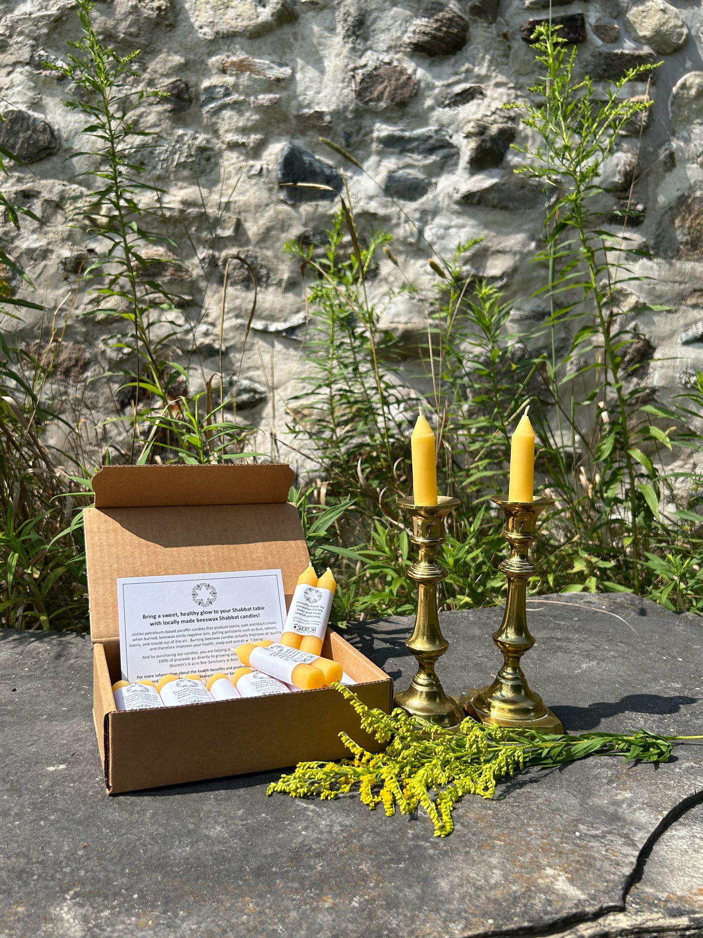 Beeswax Shabbat Candles: Labelled Pairs