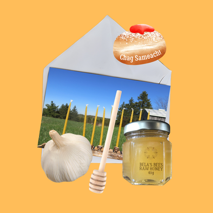 🕎 Chanukah Micro Bundle