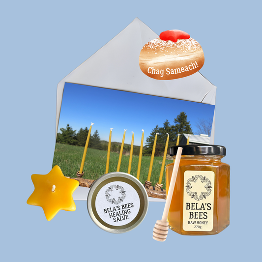 🕎 Chanukah Mini Bundle