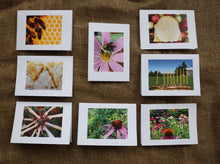 Load image into Gallery viewer, Shoresh Greeting Cards

