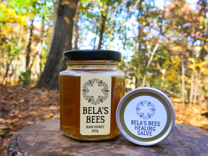 Bela's Bees Healing Salve (40g)