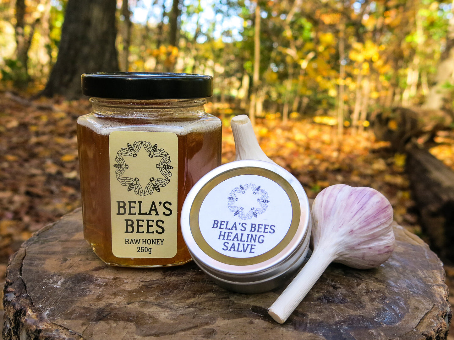 Bela's Bees Healing Salve (40g)