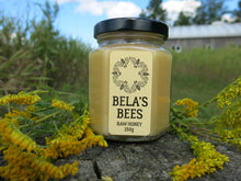Load image into Gallery viewer, Bela&#39;s Bees Raw Honey: Goldenrod
