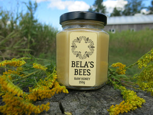 Bela's Bees Raw Honey: Goldenrod
