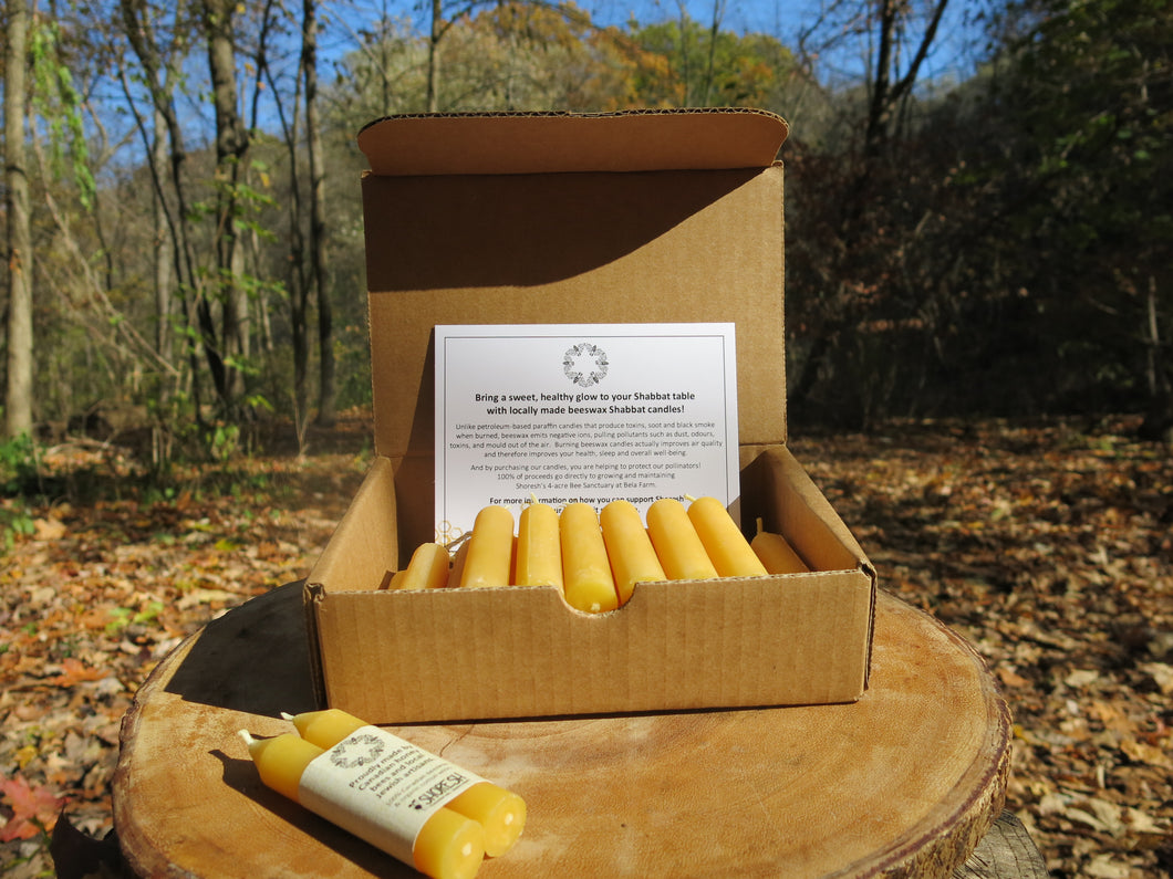 Beeswax Shabbat Candles: Box of Twelve Unlabelled Pairs