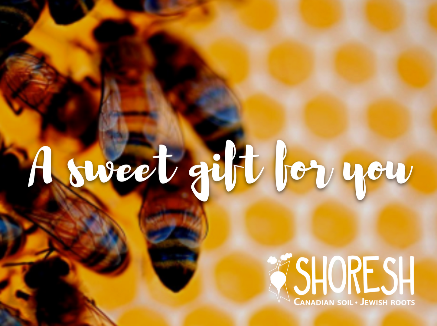 Shoresh Gift Card