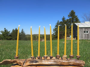 Beeswax Chanukah Candles