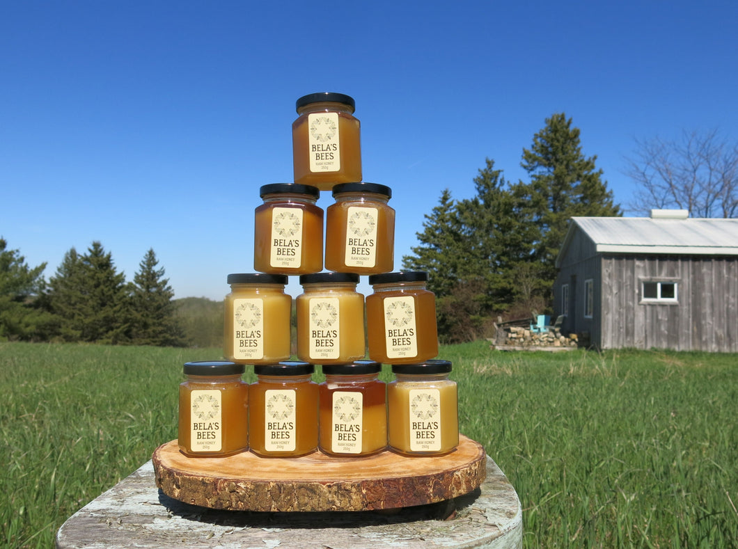 Bela's Bees Raw Honey: Case (Twelve Jars)