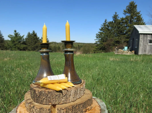 Beeswax Shabbat Candles: Labelled Pairs